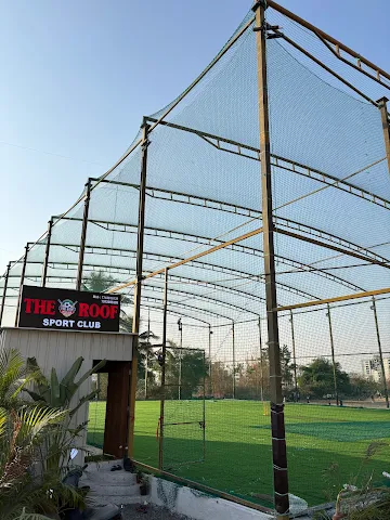 Turf photo 5