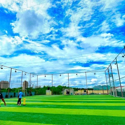 Turf photo 2
