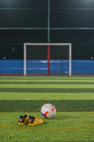 Turf photo 5