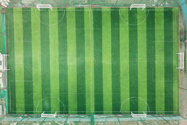 Turf photo 4