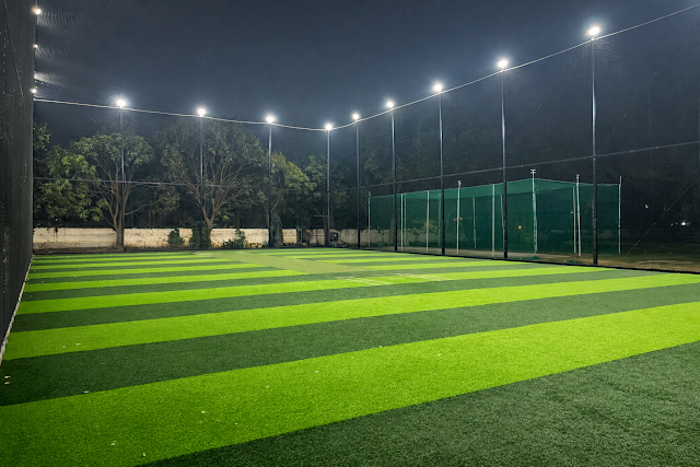 Turf photo 3