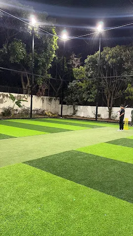 Turf photo 4