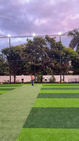 Turf photo 2