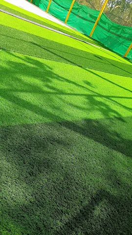 Turf photo 4