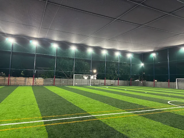 Turf photo 2