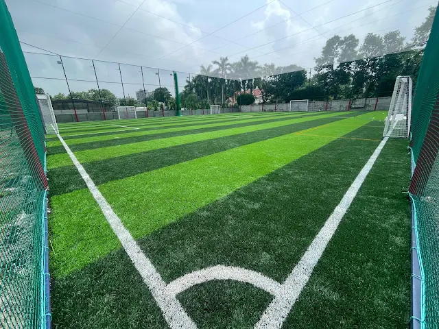 The Turf Terra