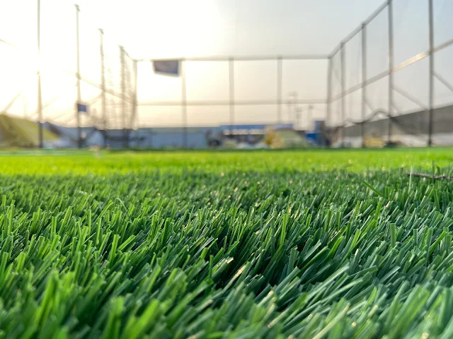 Turf photo 2