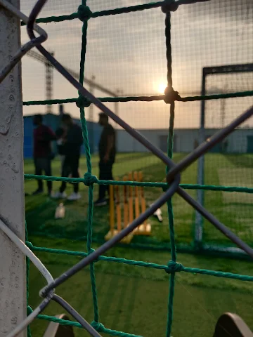 Turf photo 12
