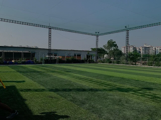 Turf photo 6