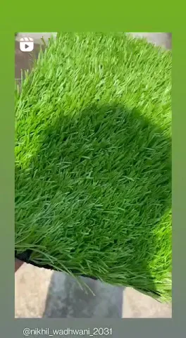 Turf photo 2