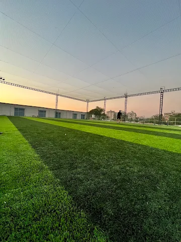 Turf photo 3