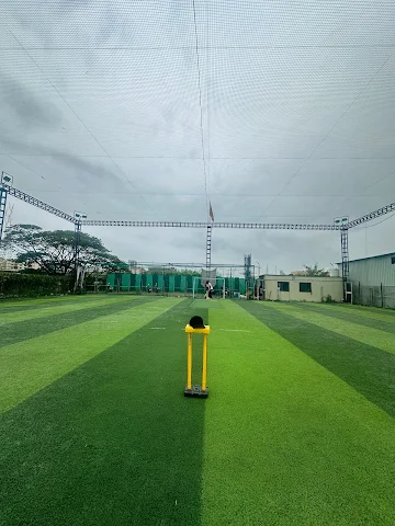 Turf photo 8