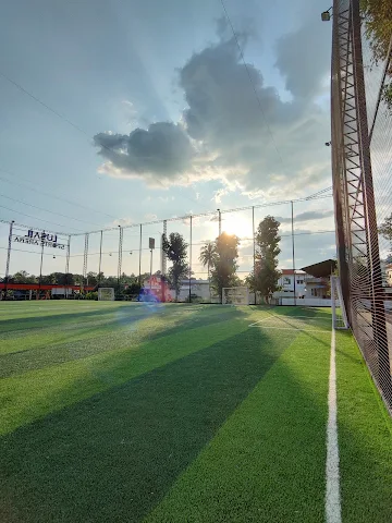 Turf photo 3