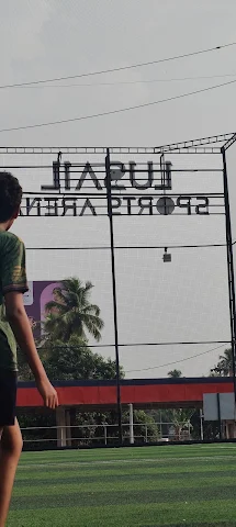 Turf photo 6