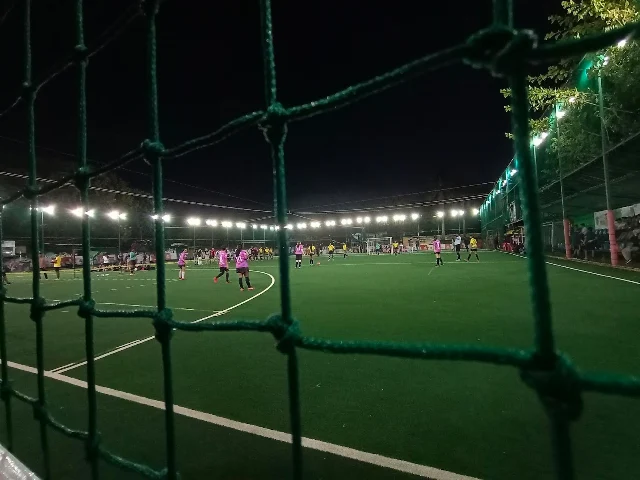 Turf photo 4