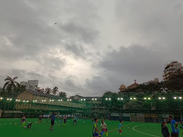 Turf main photo