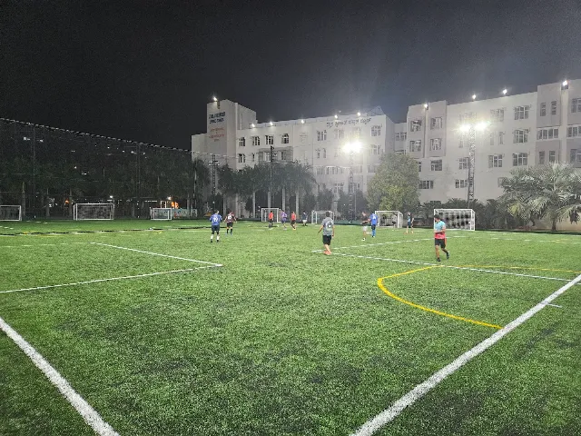 Turf photo 2