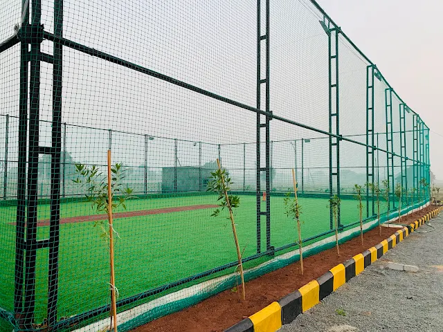 Turf photo 8