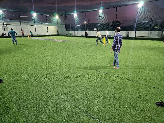 Turf photo 7