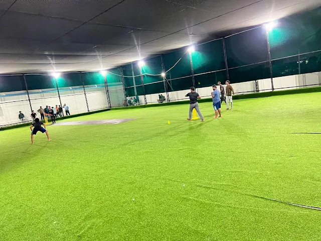 Turf photo 3