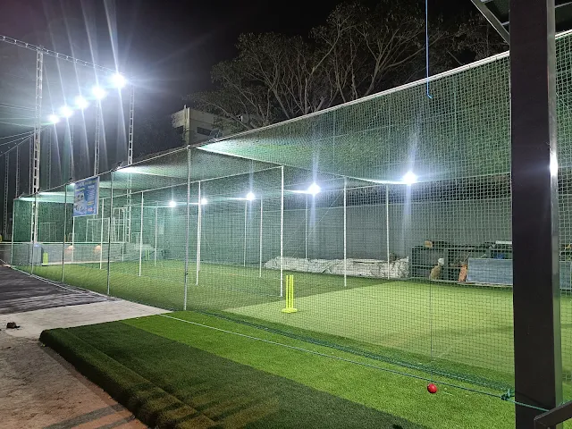Turf photo 2