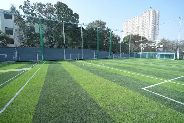 Turf main photo