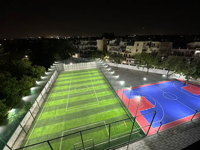 Turf photo 2