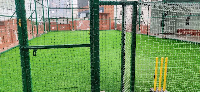 Turf photo 8