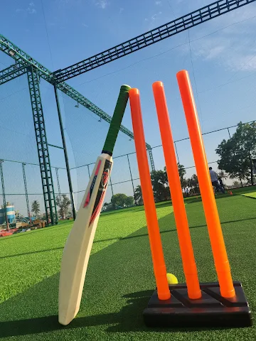 Turf photo 2