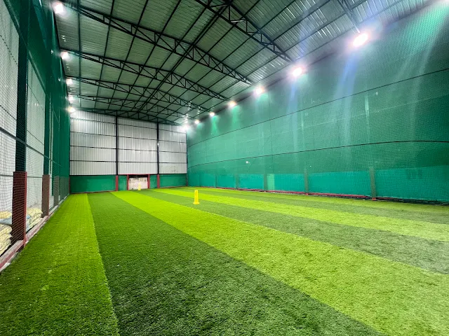 Turf photo 3