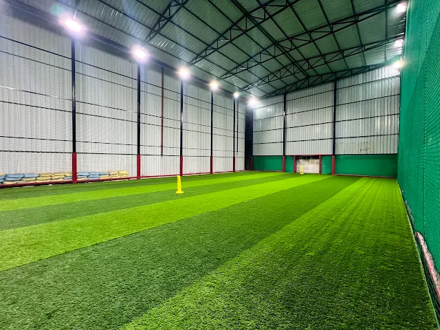 Turf photo 5