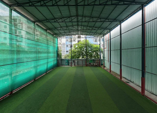 Turf photo 2