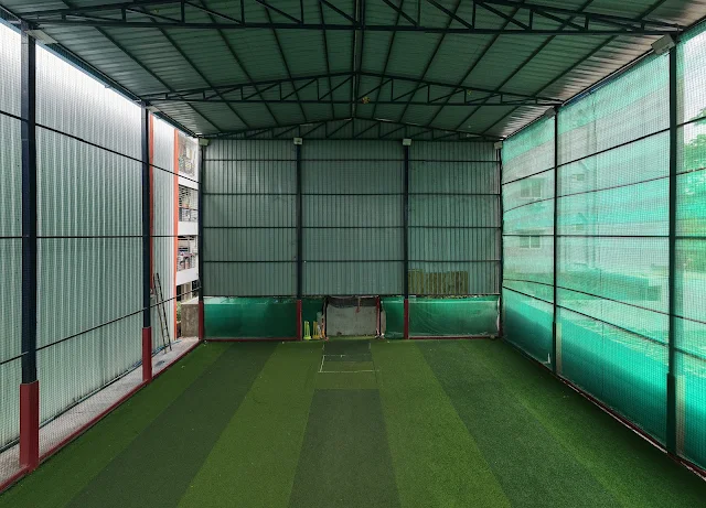 Turf photo 8
