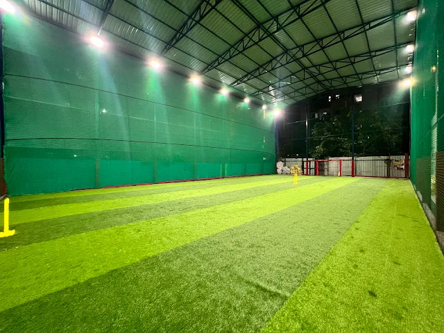 Turf photo 4