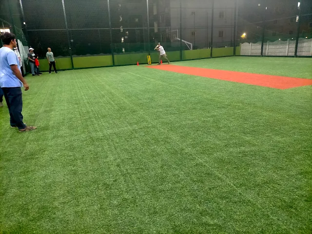 Turf photo 4