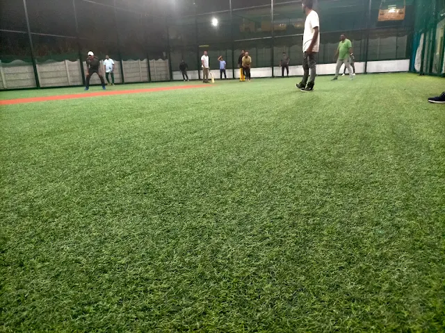 Turf photo 3