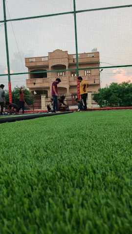Turf photo 5