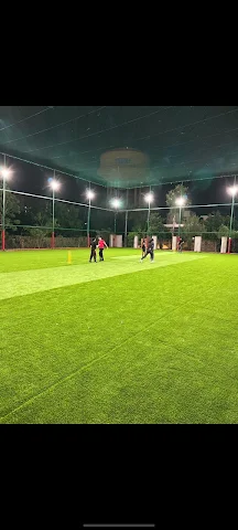 Turf photo 2