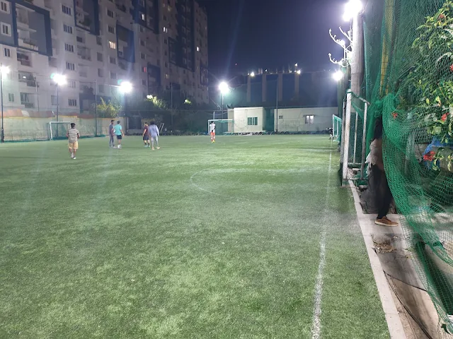 Turf main photo