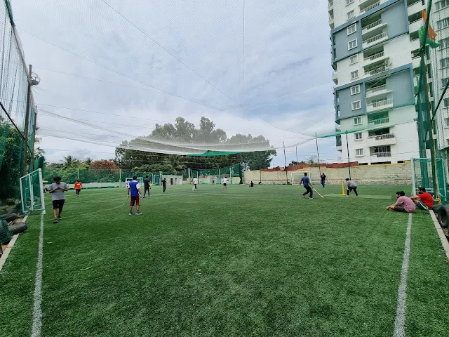 Turf photo 2