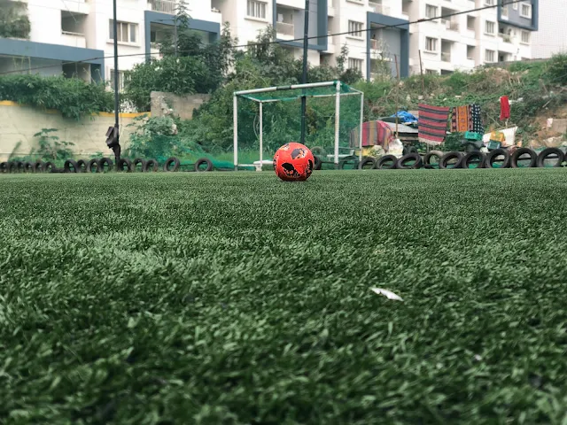 Turf photo 4