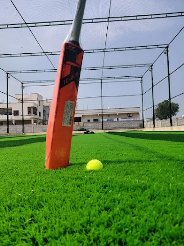 Turf photo 6