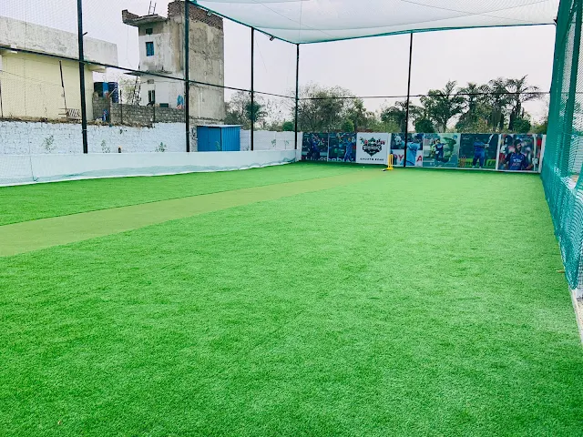 Turf photo 7