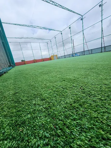 Turf photo 2