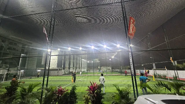 Turf photo 5