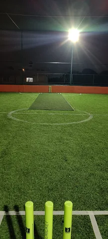 Turf photo 3