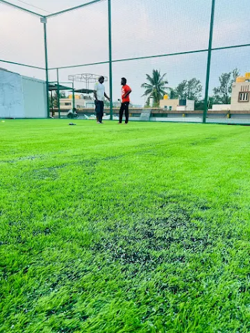 Turf photo 2