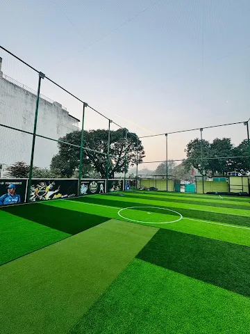 Turf photo 2
