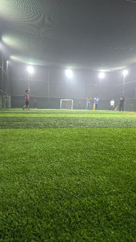 Turf photo 6