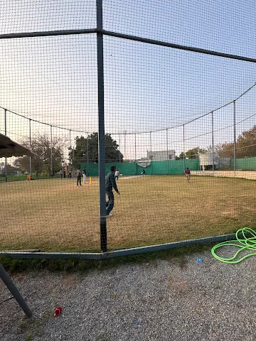Turf photo 7